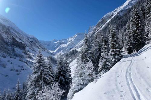 Holzgauer_Wetterspitze_www