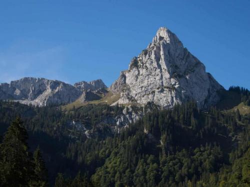 Pleisenspitzte_Südverschneidung_www