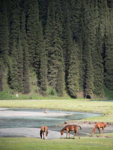 kirgistan_15_068