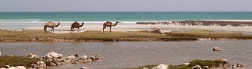 oman_klettern-41_Beitragsbild